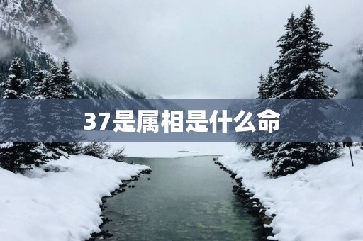 37是属相是什么命