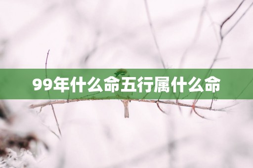 99年什么命五行属什么命