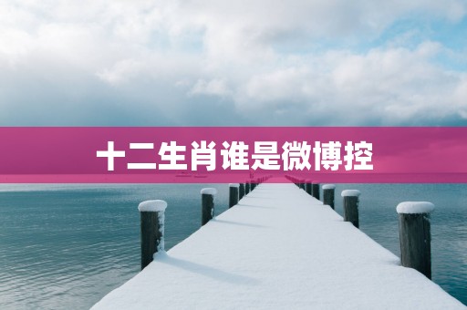 十二生肖谁是微博控