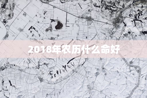 2018年农历什么命好