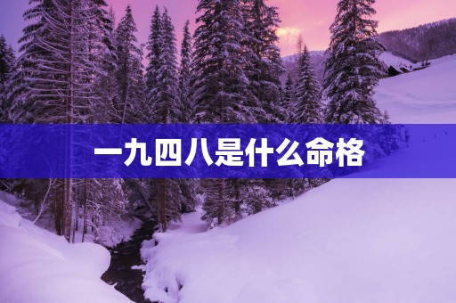 一九四八是什么命格