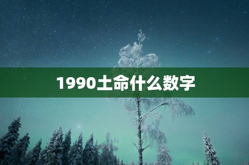 1990土命什么数字