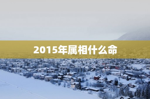 2015年属相什么命