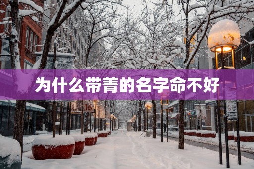为什么带菁的名字命不好