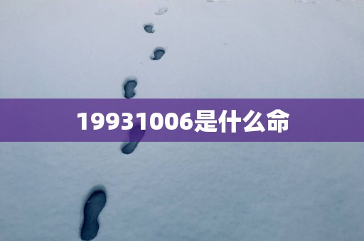 19931006是什么命