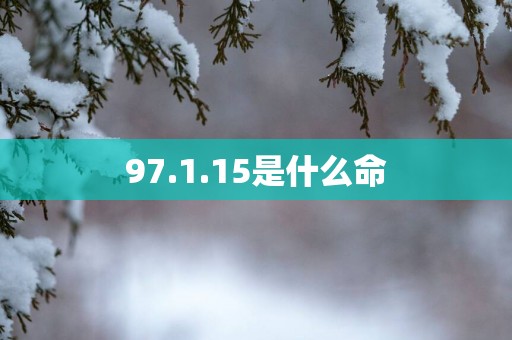 97.1.15是什么命