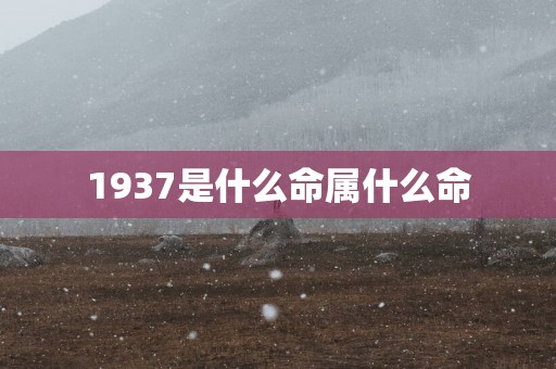 1937是什么命属什么命