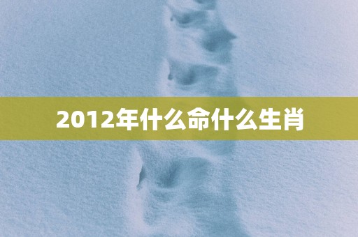 2012年什么命什么生肖