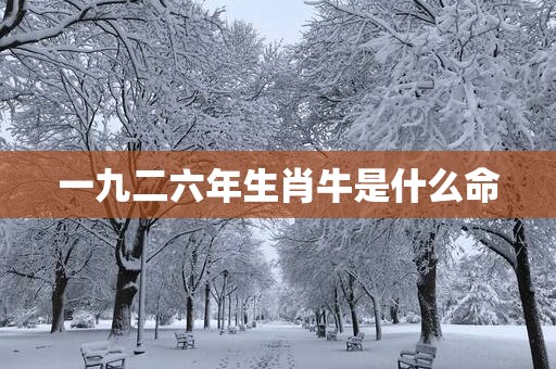 一九二六年生肖牛是什么命