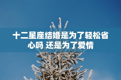 十二星座结婚是为了轻松省心吗 还是为了爱情