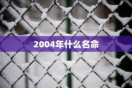 2004年什么名命