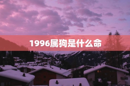 1996属狗是什么命