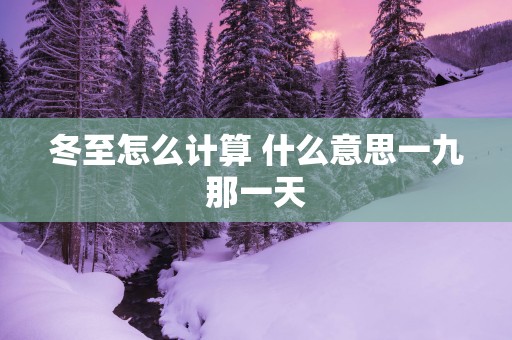冬至怎么计算 什么意思一九那一天