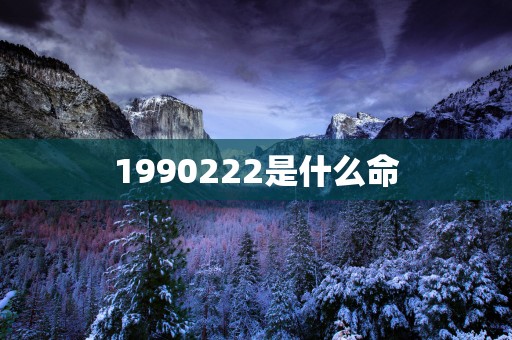 1990222是什么命