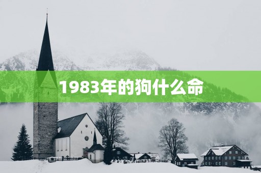 1983年的狗什么命