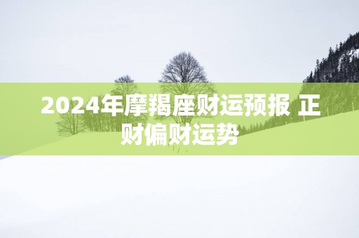 2024年摩羯座财运预报 正财偏财运势