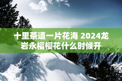 十里茶道一片花海 2024龙岩永福樱花什么时候开