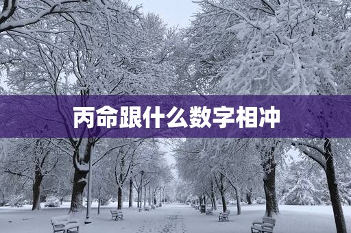 丙命跟什么数字相冲