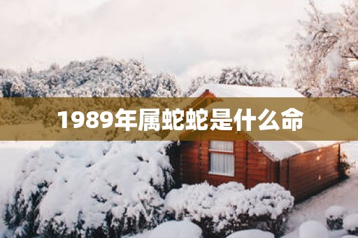 1989年属蛇蛇是什么命