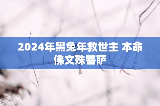 2025年黑蛇年救世主 本命佛文殊菩萨