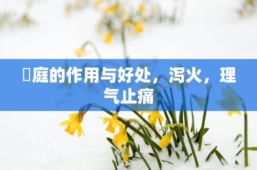 內庭的作用与好处，泻火，理气止痛