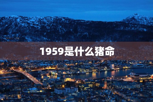 1959是什么猪命