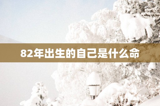 82年出生的自己是什么命