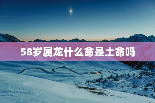 58岁属龙什么命是土命吗