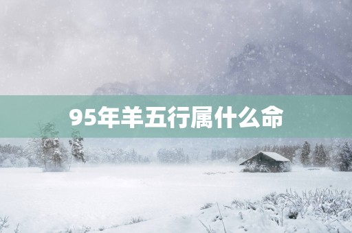 95年羊五行属什么命