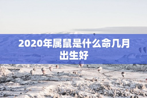 2025年属鼠是什么命几月出生好