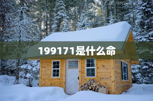 199171是什么命