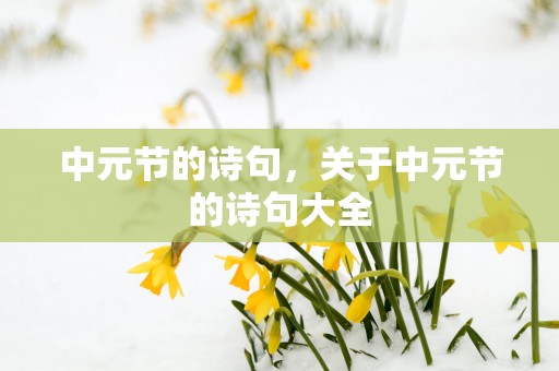 中元节的诗句，关于中元节的诗句大全