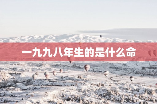 一九九八年生的是什么命