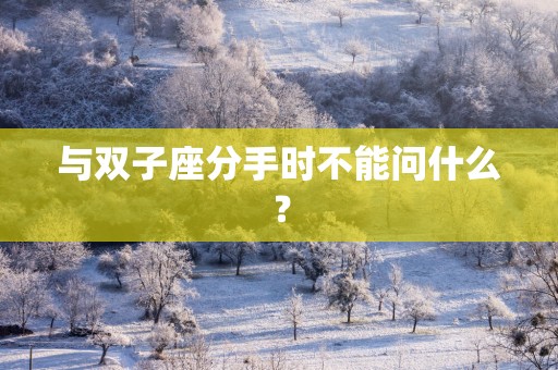 与双子座分手时不能问什么？