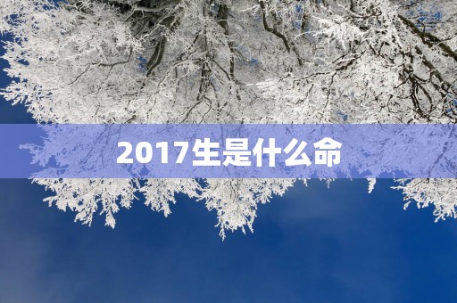 2017生是什么命
