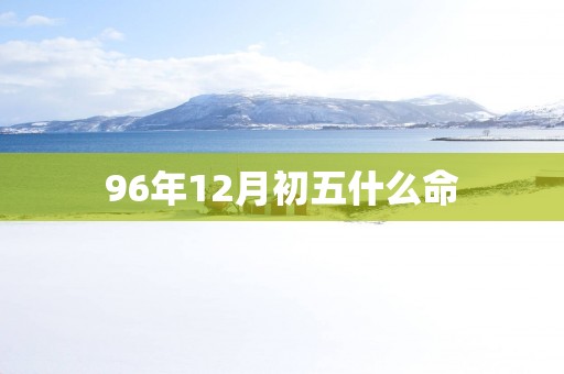 96年12月初五什么命