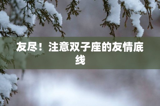 友尽！注意双子座的友情底线