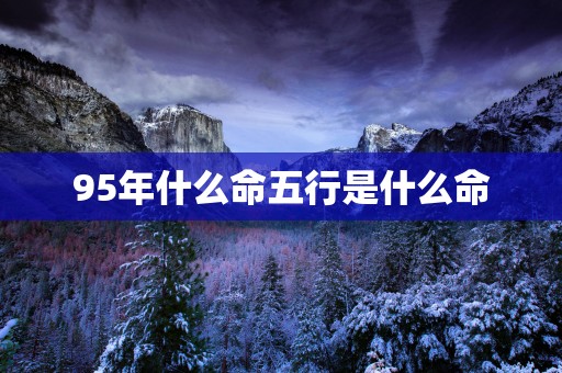 95年什么命五行是什么命