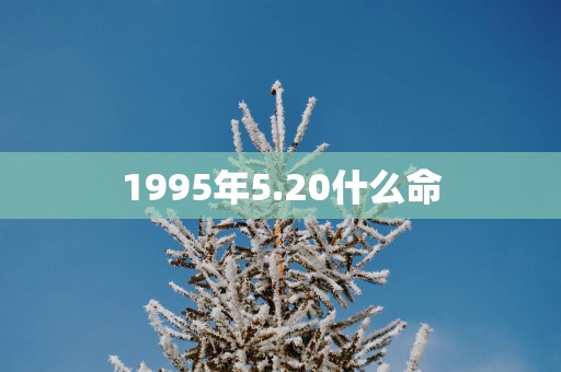 1995年5.20什么命