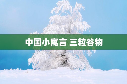 中国小寓言 三粒谷物