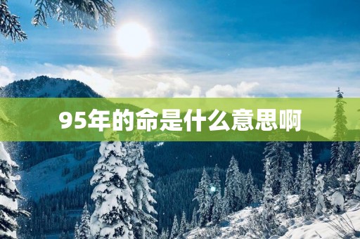 95年的命是什么意思啊