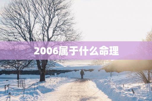 2006属于什么命理