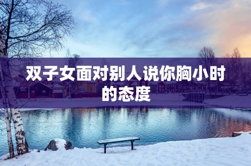 双子女面对别人说你胸小时的态度