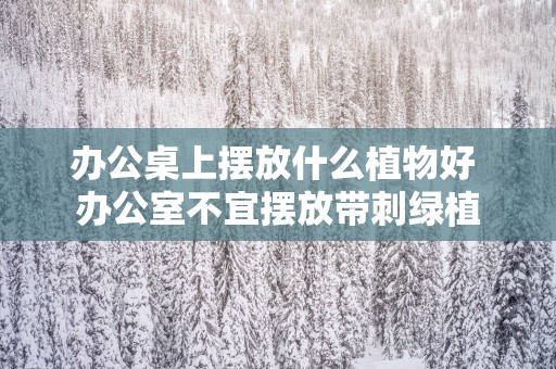办公桌上摆放什么植物好 办公室不宜摆放带刺绿植