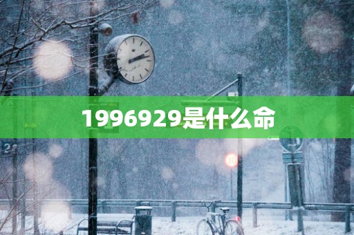 1996929是什么命