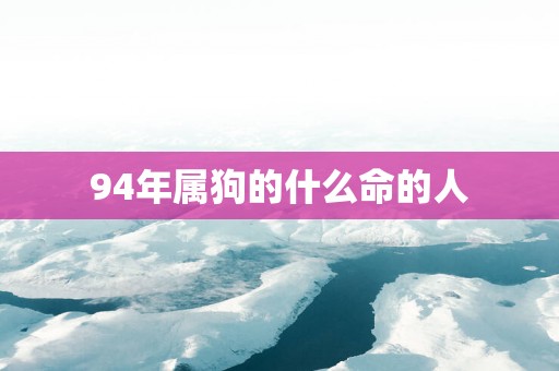 94年属狗的什么命的人