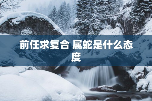 前任求复合 属蛇是什么态度