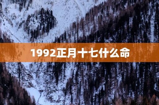 1992正月十七什么命