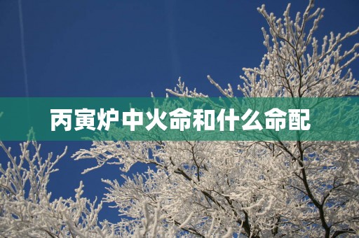 丙寅炉中火命和什么命配