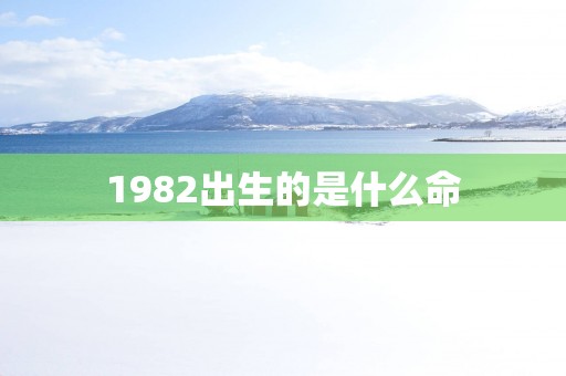 1982出生的是什么命
